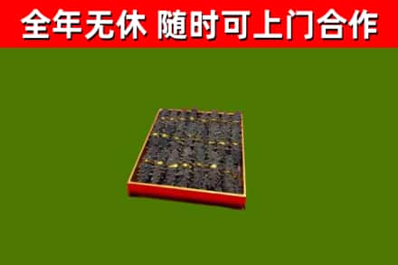 南区回收海参